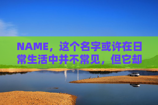 NAME，这个名字或许在日常生活中并不常见，但它却在某些领域里扮演着重要的角色。今天，让我们一起来探索这个名字背后的故事和意义